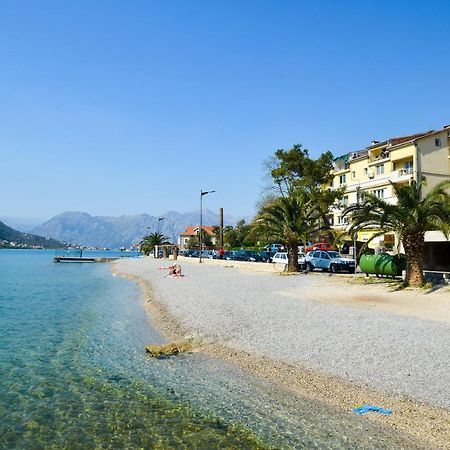 Central Apartment Kotor Bagian luar foto