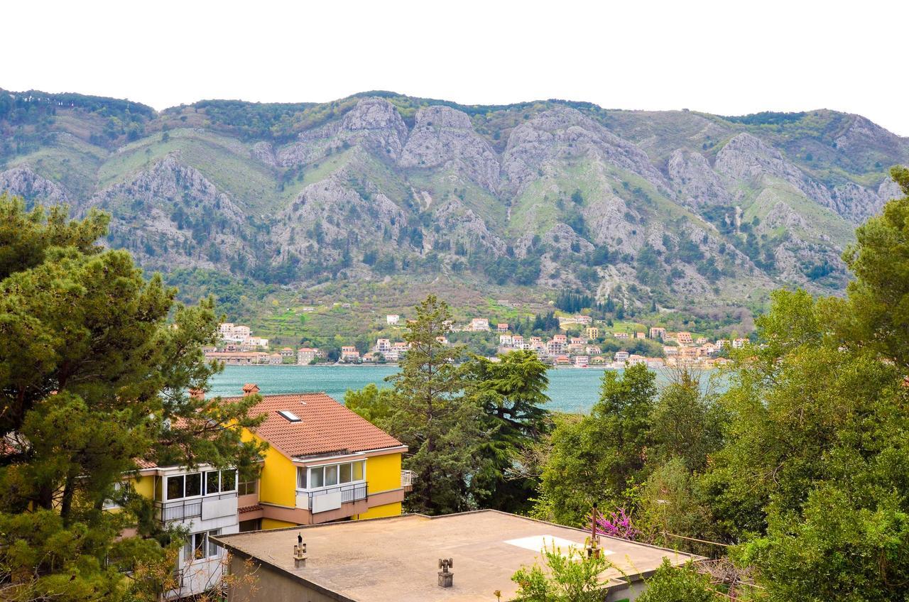 Central Apartment Kotor Bagian luar foto