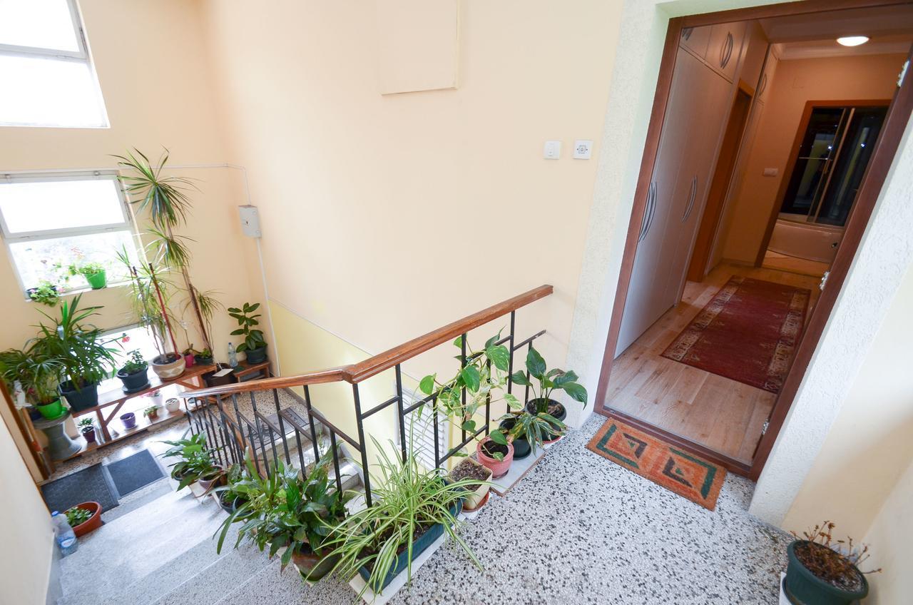 Central Apartment Kotor Bagian luar foto